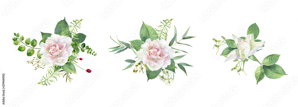 Watercolor composition of roses on a white background