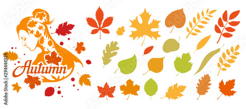Autumn logo vector. The natural label. Autumn colorful bright leaves. Decorative set of isolated colorful autumn leaves. Vector graphics to design.