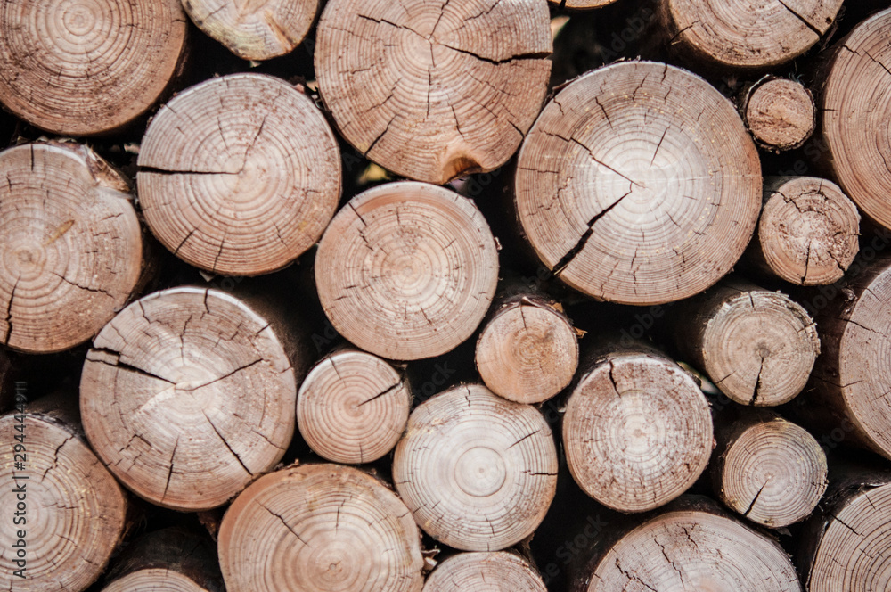 Fototapeta Pile of wood logs stumps for winter