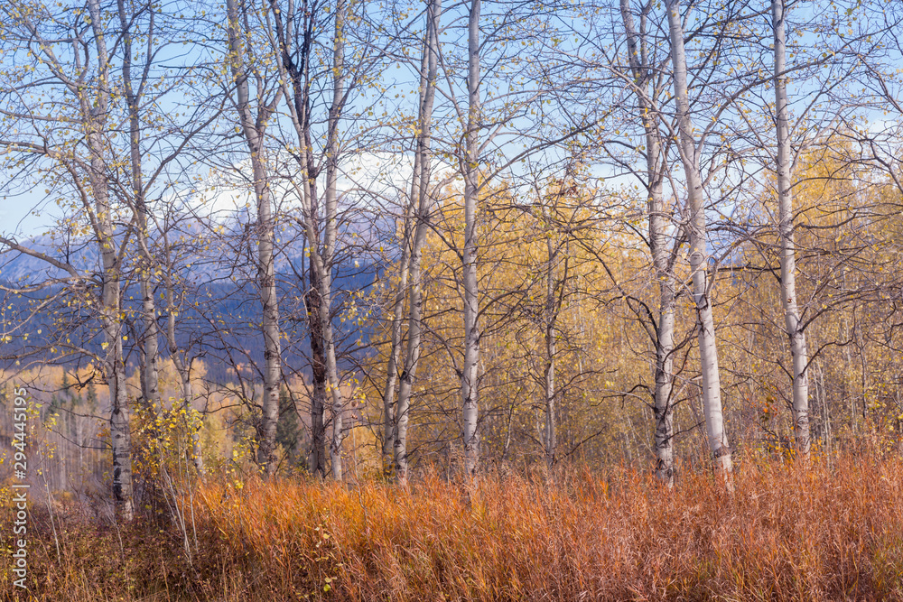 Northern October Mood