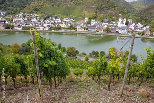 View of Treis-Karden town with the Moselle river in Germany