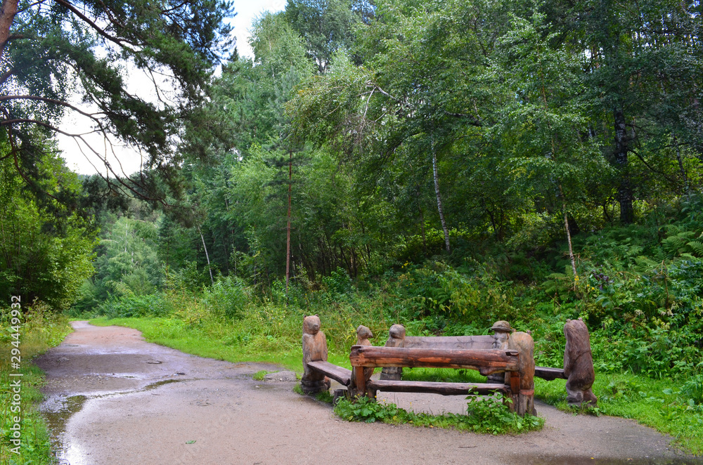 Obraz premium Footpath in the mountains . The summer coniferous, deciduous forest. Wooden bench for rest