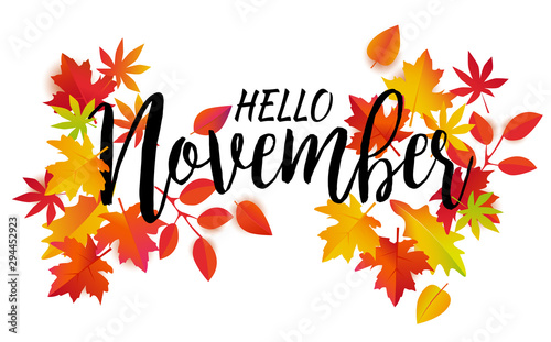 Hello November vector. Autumn leaves and text on white background. 