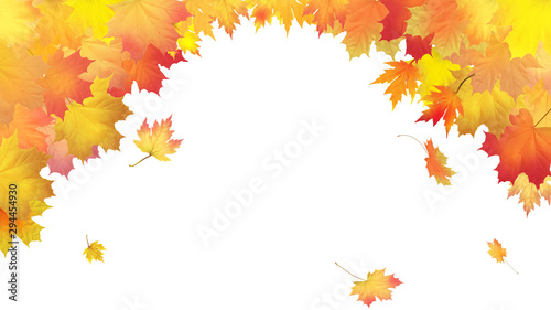 Falling leaves on white background  vector illustration.