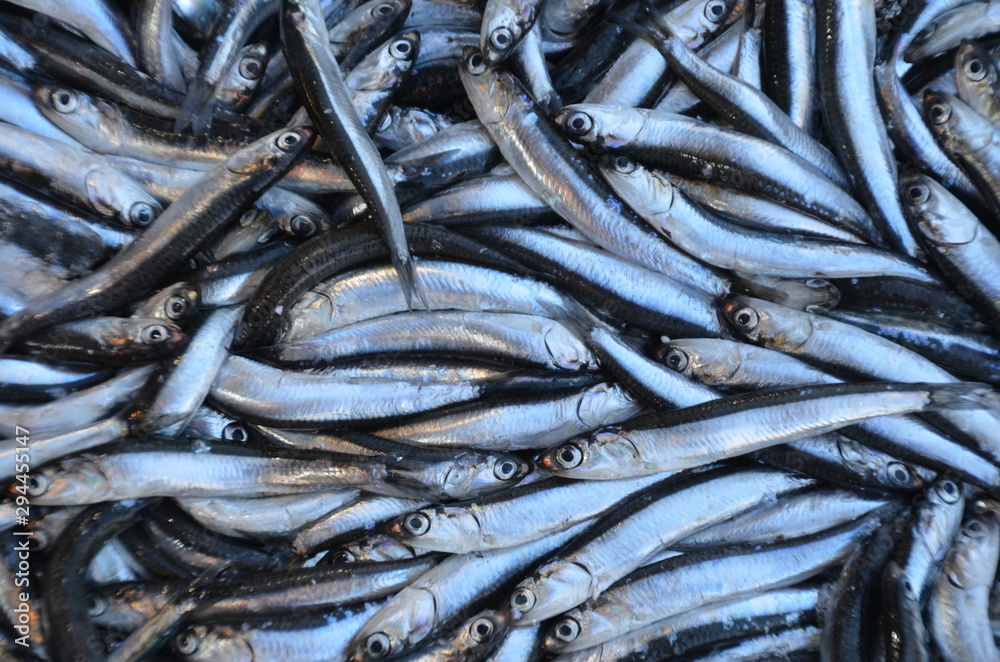 fresh fish on ice background fresh fish on ice background