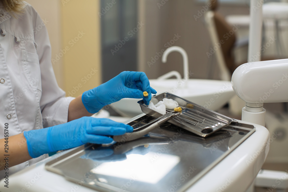 Hands female dentist holding dental tools and teeth over medical office background. Medicine, stomatology and healthcare concept. Hands female dentist holding dental tools and teeth over medical office background. Medicine, stomatology and healthcare concept.