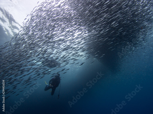 Two scuba divers surrouded by a school of sardines on Bohol, the Philippines