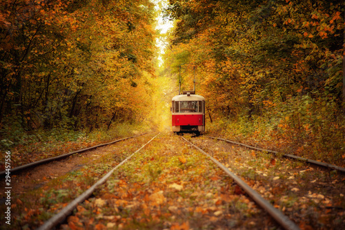 red retro  tram in magical deep sunny colorful forest.  amazing natural autumn background