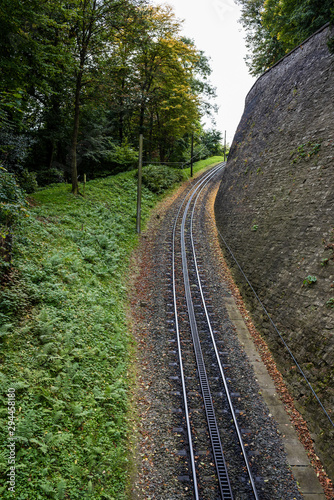 narrow train tracks in a park in fall with green and yellow leaves, some leaves fallen on the ground