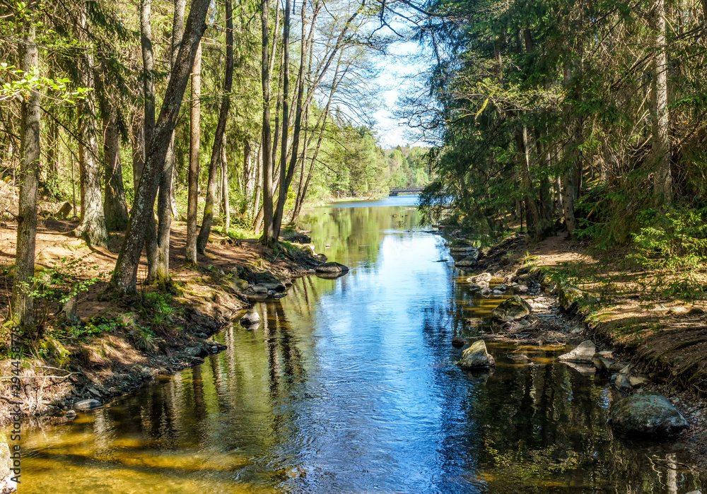 Obraz premium A calm, flowing stream that flows into a forest lake in Tyresta National Park, Sweden.