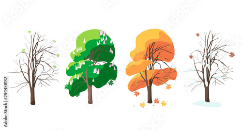Chestnut in four seasons spring summer winter autumn. On the chestnut tree you can see many flowers and  nut. Vector illustration.