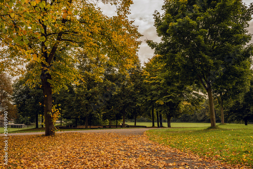 Empty park with yellow leaves on the ground and colorful trees on a cloudy fall day