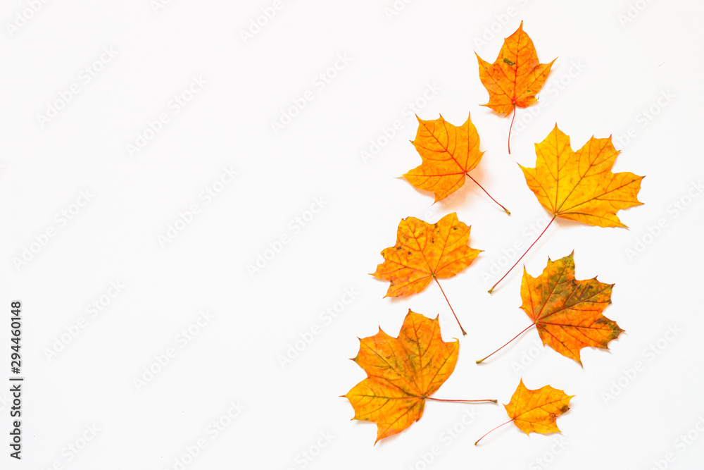 Autumn flat lay background with fallen leaves on white. Autumn flat lay background with fallen leaves on white.