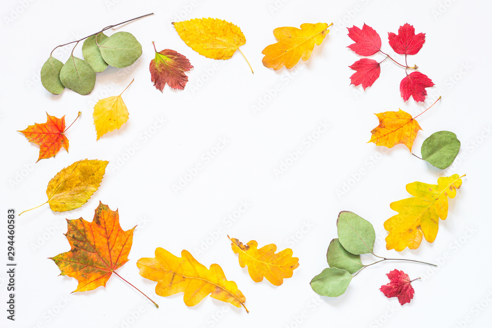 Autumn flat lay background with leaves on white.