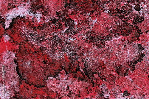 france; hautes pyrénées : lichen on rock, bellevue plateau