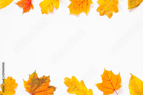 Autumn flat lay background with leaves on white.