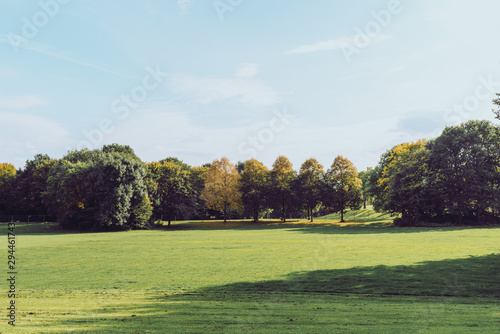 a park in autumn with yellow, green and red trees, green field on a sunny day, film effect