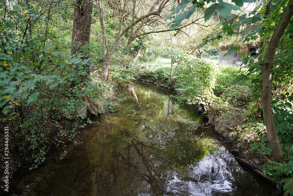 A Bavarian stream on the way to its mouth in the big river
