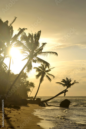 Fotografie Beach at Little Corn Island in Niceragua