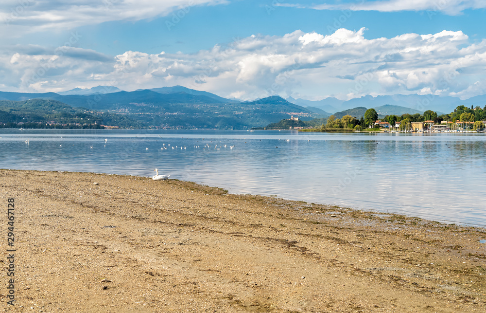 Landscape of Cicognola beach between Lake Maggiore and the Ticino river in Castelletto sopra Ticino, taly