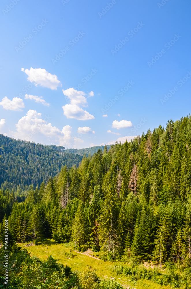 Carpathian Mountains landscape in the autumn season in the sunny day