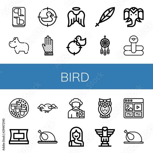 Set of bird icons such as Chicken wings, Hippopotamus, Duck, Chainmail, Angel, Quill, Dreamcatcher, Wild life, Flamingo, Collar, Seagull, Chicken, Poet, Troglodyte, Owl , bird