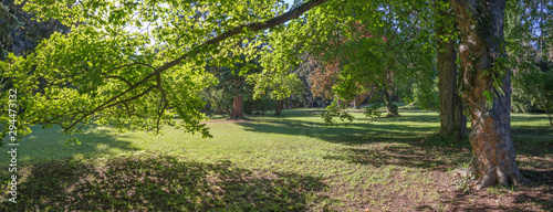 Topolcianky - The light under the trees of park from palace in Topolcianky. photo