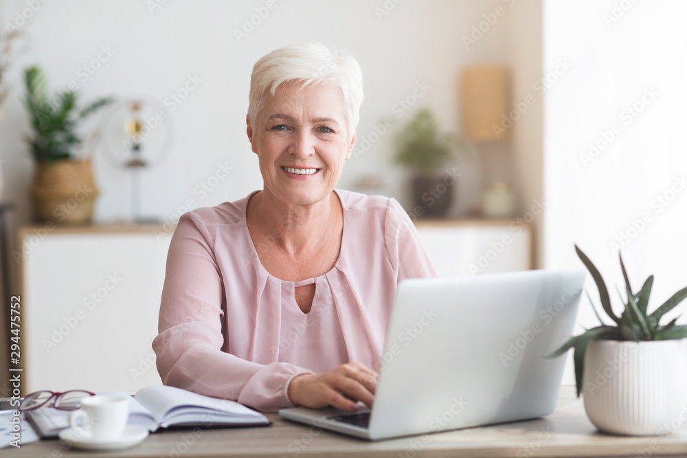 Happy business lady working with laptop at home Happy business lady working with laptop at home