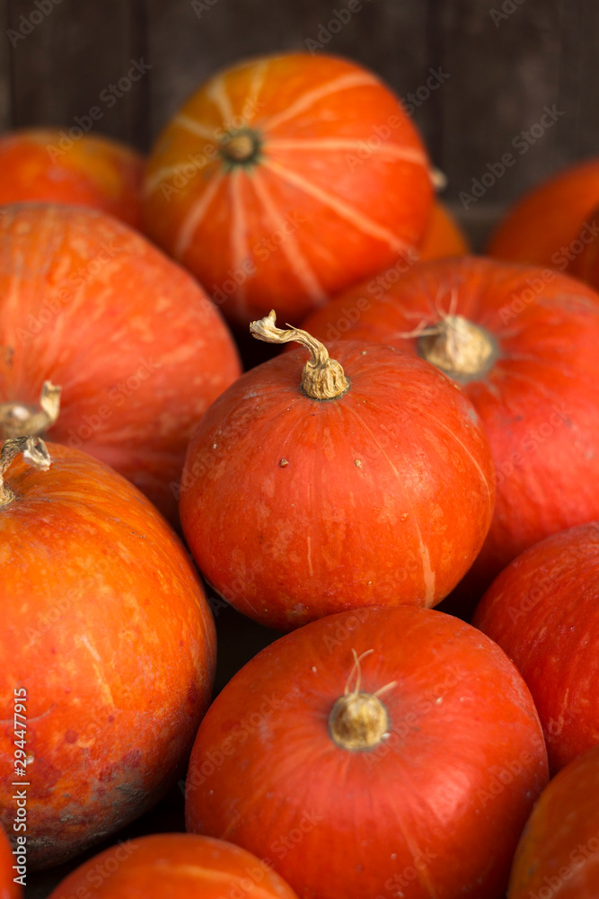 A lot of red ripe pumpkins on a old wooden background close up, holiday halloween. Pile of ripe pumpkins. Harvest autumn wallpaper A lot of red ripe pumpkins on a old wooden background close up, holiday halloween. Pile of ripe pumpkins. Harvest autumn wallpaper