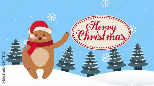 happy merry christmas bear in snowcape photo