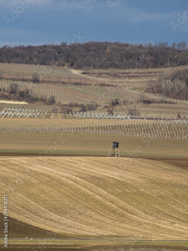 Herbstlandaschaft photo