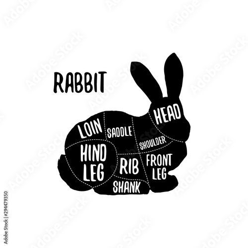 Rabbit meat cutting charts vector illustration for butchers shop guide. Label for farm design