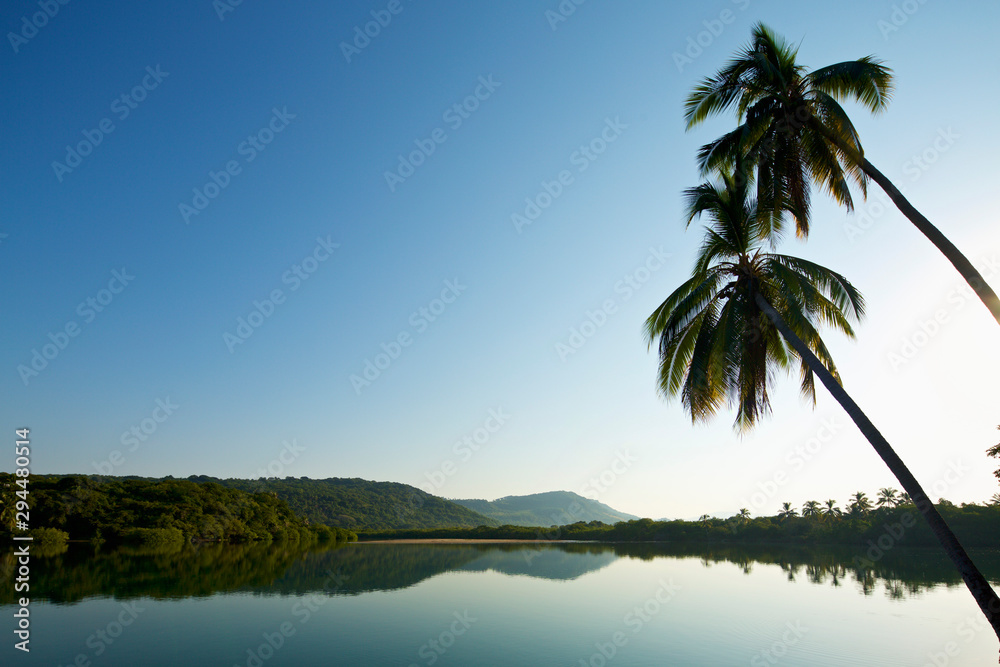 Palm trees over tranquil, idyllic sunny lake, Platinitos, Nayarit, Mexico Palm trees over tranquil, idyllic sunny lake, Platinitos, Nayarit, Mexico