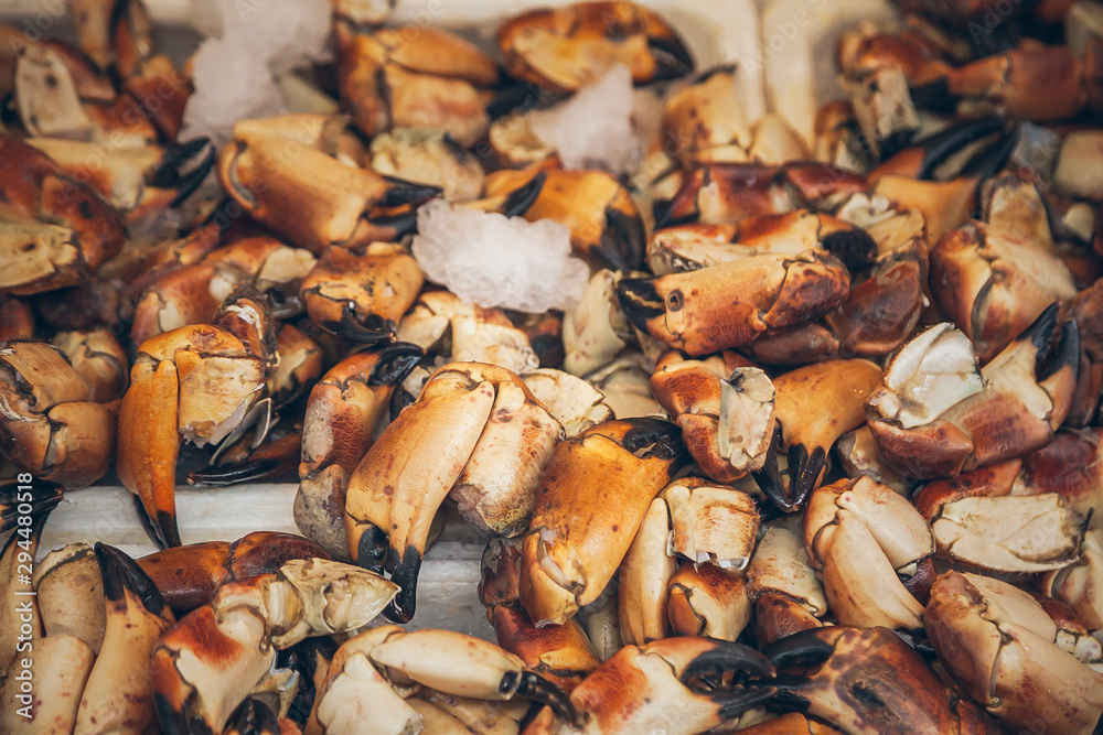 Pile of crab claws