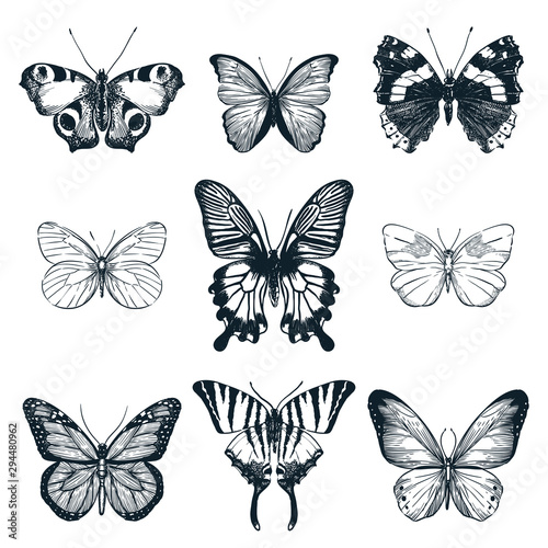 Butterflies set. Vector sketch illustration. Creative summer or spring insects collection isolated on white background.