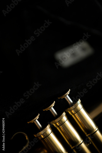фотографія A gold looking matte finish on a flugelhorn in a black case