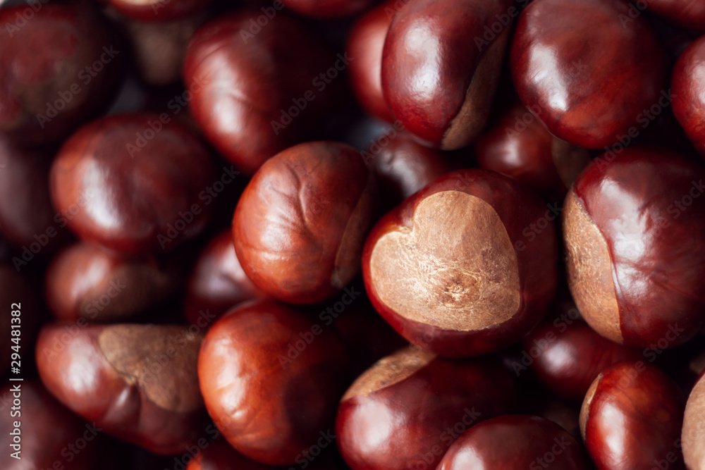 macro Background of many horse chestnuts with core in the shape of a heart close up macro Background of many horse chestnuts with core in the shape of a heart close up