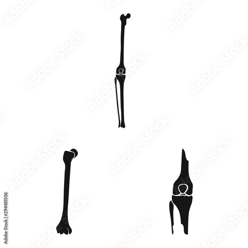Vector design of biology and medical icon. Collection of biology and skeleton stock vector illustration.