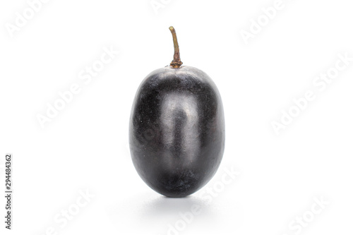One whole fresh black grape isolated on white background