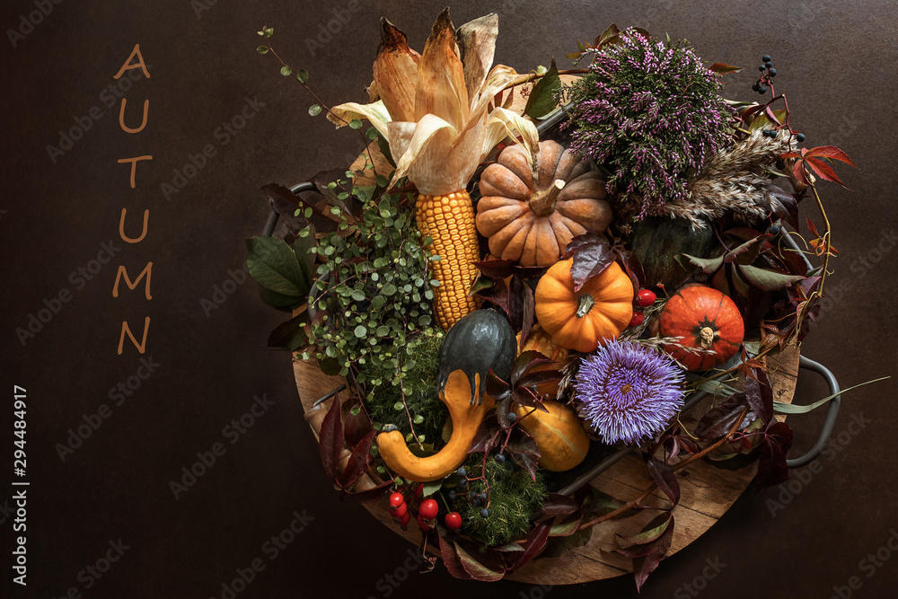 Herbst - Kürbis Stilleben. Erntedankfest. Kürbisvariation auf Holz. Saisonale Dekoration Herbst - Kürbis Stilleben. Erntedankfest. Kürbisvariation auf Holz. Saisonale Dekoration