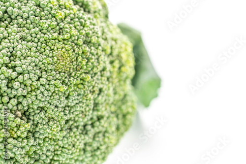 One whole fresh green broccoli macro isolated on white background