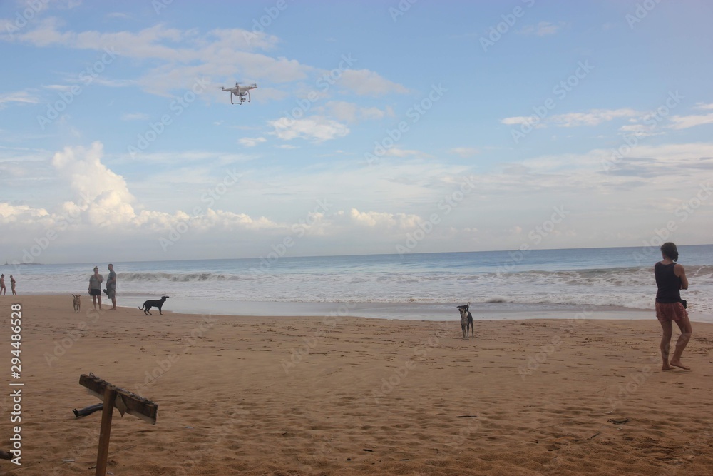 Drone flies in the sky, dogs on the beach