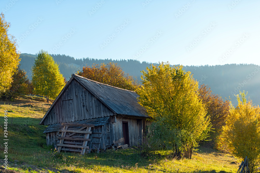 Beautiful wooden house during fall peak season