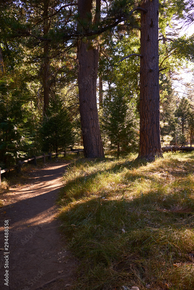 Obraz premium Colorful landscape of Yosemite National Park