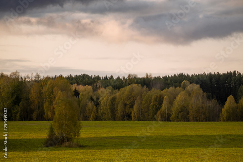 Green field and cloudy sky, autumn trees