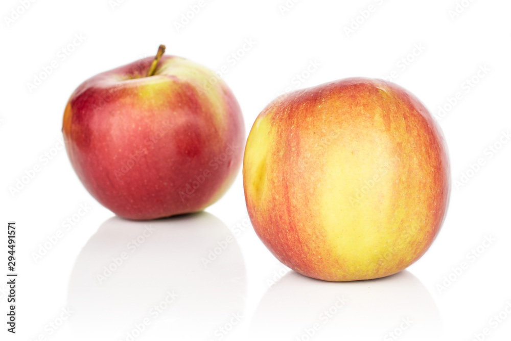 Group of two whole red apple jonagold isolated on white background Group of two whole red apple jonagold isolated on white background
