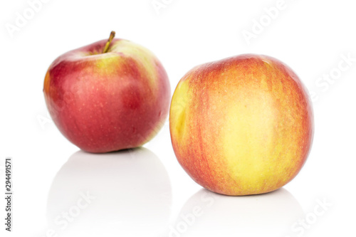 Group of two whole red apple jonagold isolated on white background