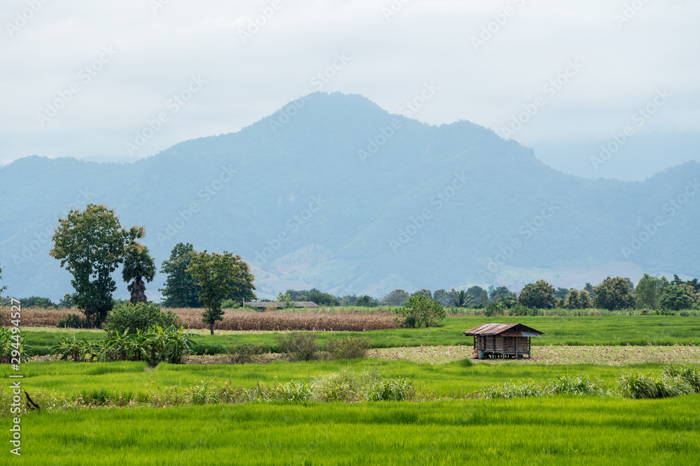 thai wooden house on the field