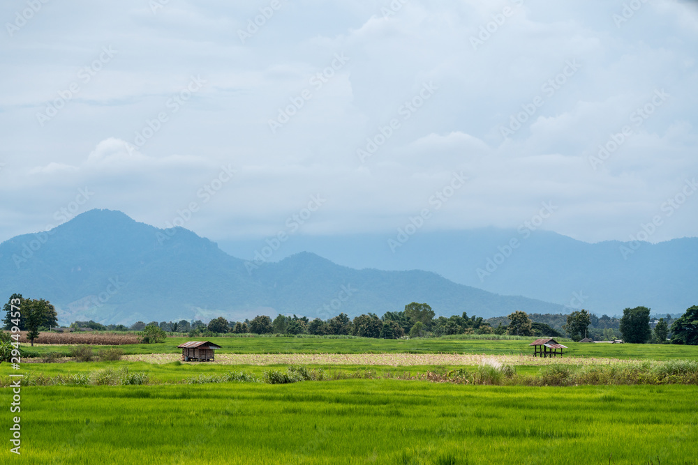 thai wooden house on the field