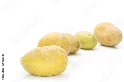 Group of five whole arranged raw brown potato isolated on white background